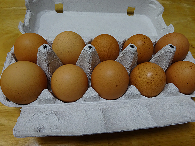 卵6個